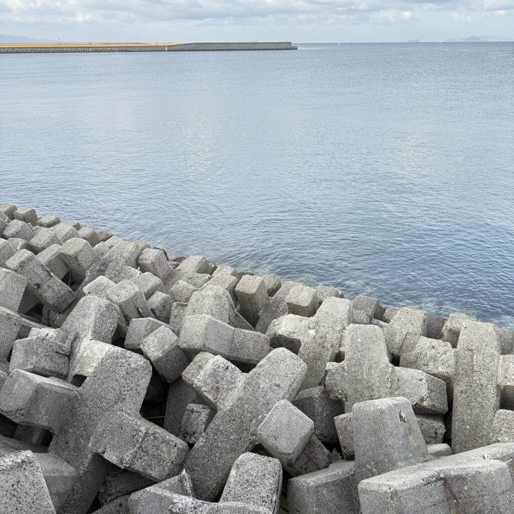 松山近郊の海岸にある外海に面したテトラポット。ブラクリを使った穴釣りのポイント。