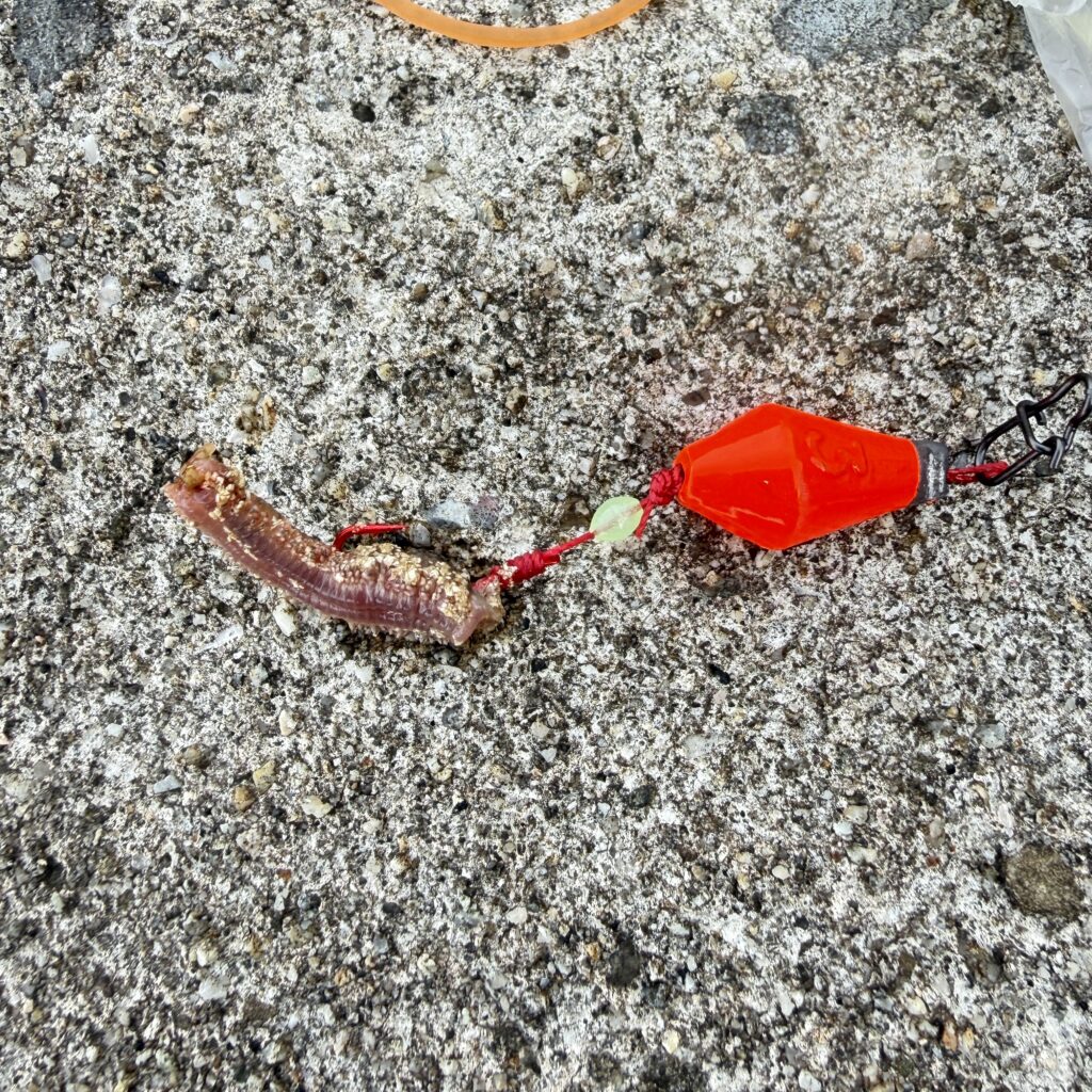 ブラクリの赤いハリにアオイソメを房掛けした状態。穴釣りで根魚に強くアピールするためのエサの付け方の例。