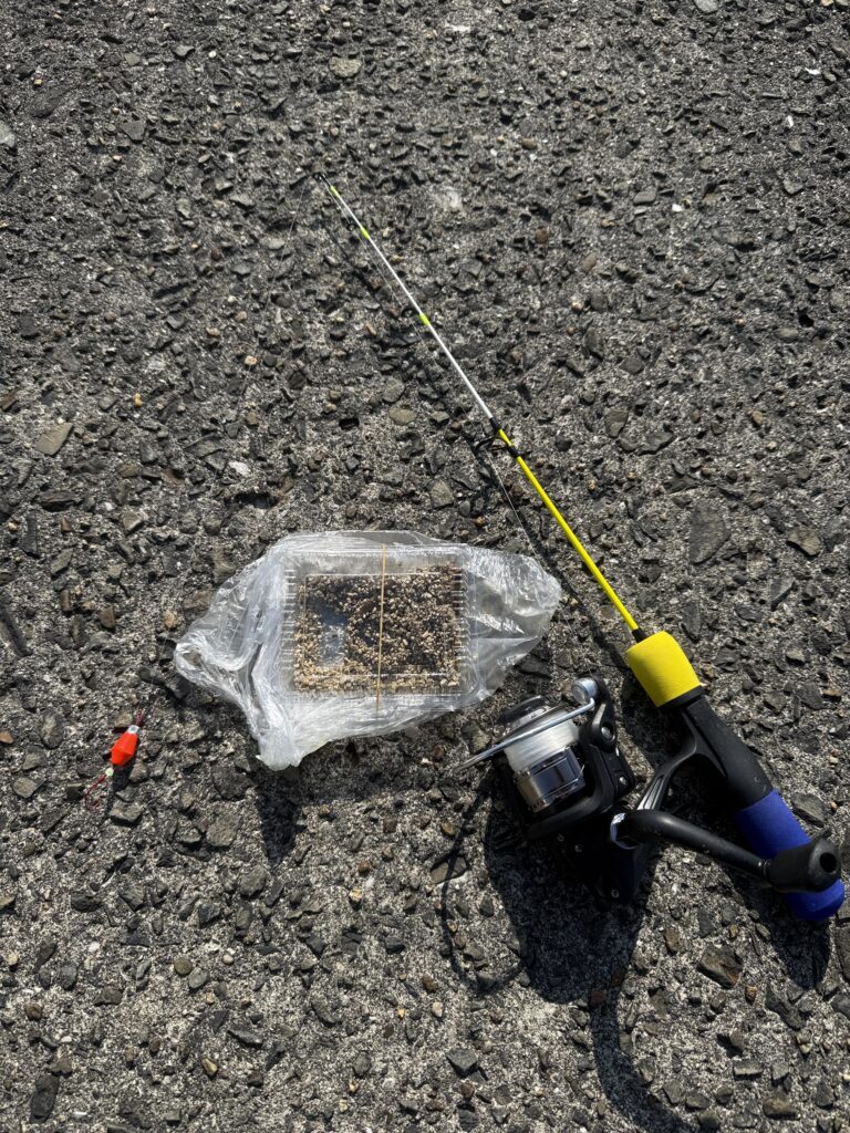 ダイソーのコンパクトロッドとリール、エサのアオイソメを並べた低予算装備。