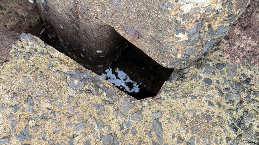 外海からの海水が流れ込み循環しているテトラポットの深い隙間。カサゴなどの根魚が潜む好ポイントへブラクリを落とし込む様子