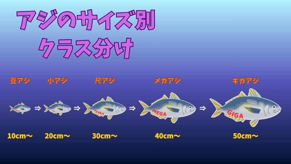 アジのサイズ別クラス分け一覧図