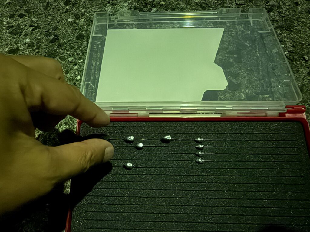 メイホウ ランガンケース3010W-1にジグヘッドを整列させて収納している様子