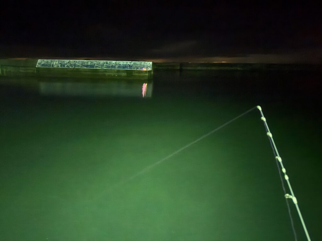 夜釣りにおけるエステルラインの視認性比較。常夜灯下で水面に溶け込んでしまい、ラインの軌道が見えにくいパープル系エステルライン。