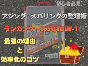 ランガンケース3010W-1を紹介するブログ記事のアイキャッチ画像：アジング・メバリングの整理術と効率化のコツ