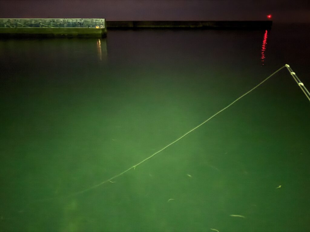 夜釣りにおけるエステルラインの視認性比較。常夜灯下で軌道が鮮明に浮かび上がり、水中まで視認できるオレンジ系エステルライン。