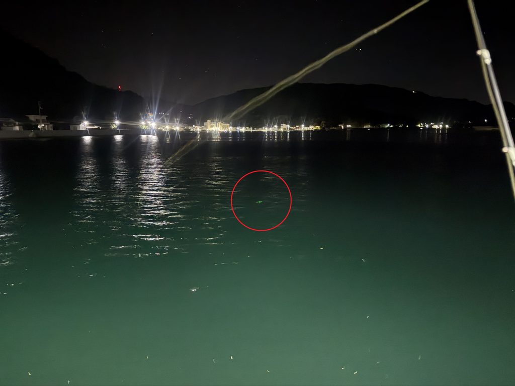 夜の海でケミホタルの光によって位置が視覚的に把握できるシャローフリークプチの実釣風景