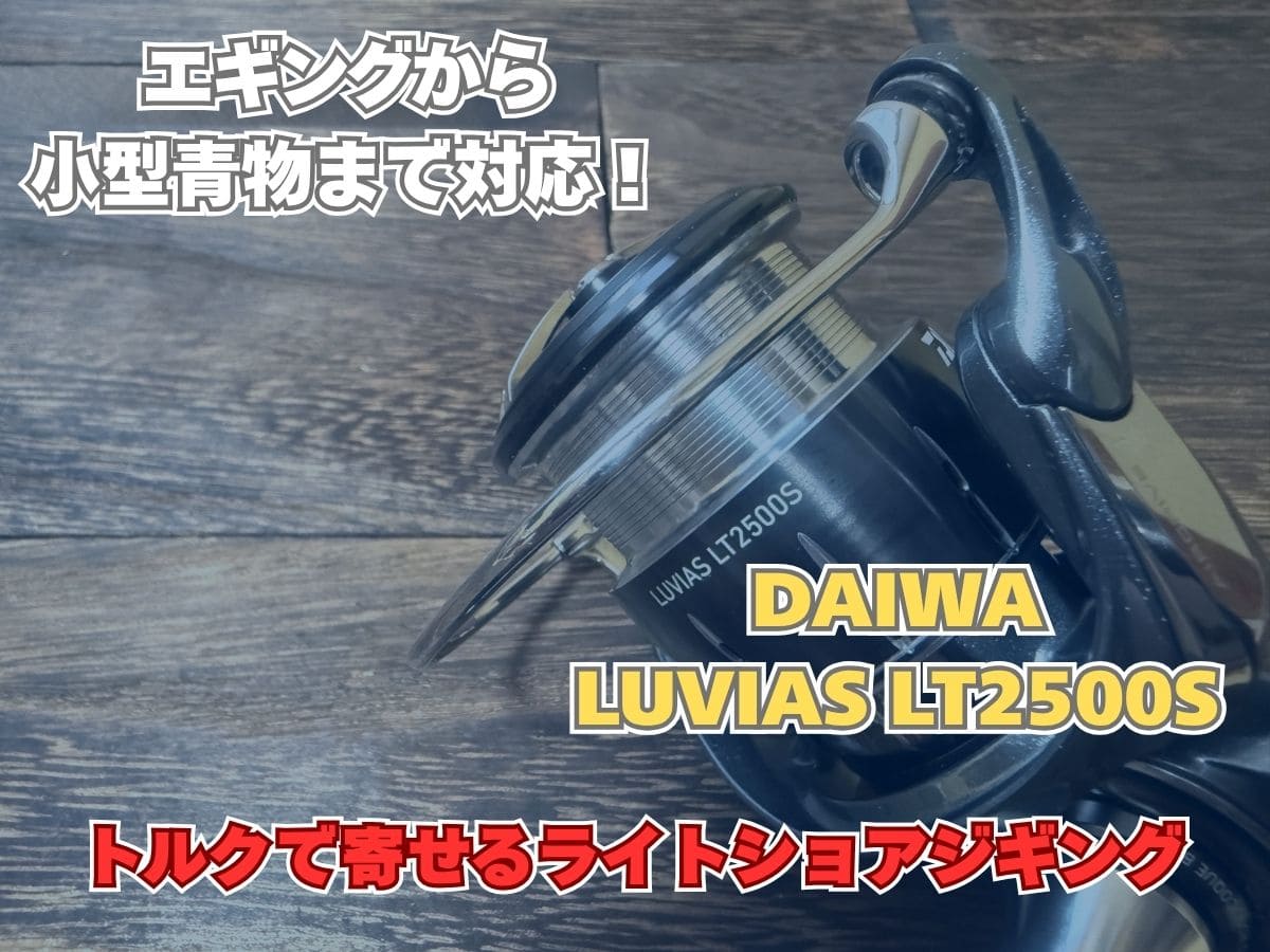 ダイワ ルビアス LT2500Sとエギング・ライトショアジギング対応のアイキャッチ画像