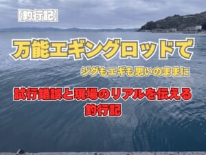 海の風景を背景に「万能エギングロッドでジグもエギも思いのままに」と書かれた釣行記ブログ記事のアイキャッチ画像