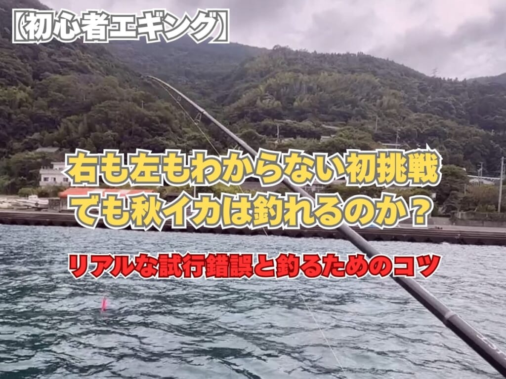 【初心者エギング】右も左もわからない初挑戦で秋イカを狙うアイキャッチ画像