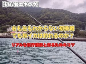 【初心者エギング】右も左もわからない初挑戦で秋イカを狙うアイキャッチ画像