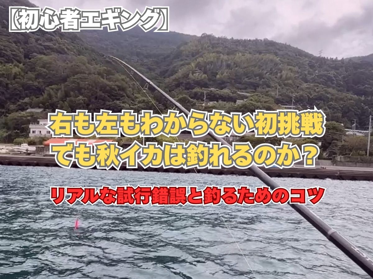 【初心者エギング】右も左もわからない初挑戦で秋イカを狙うアイキャッチ画像